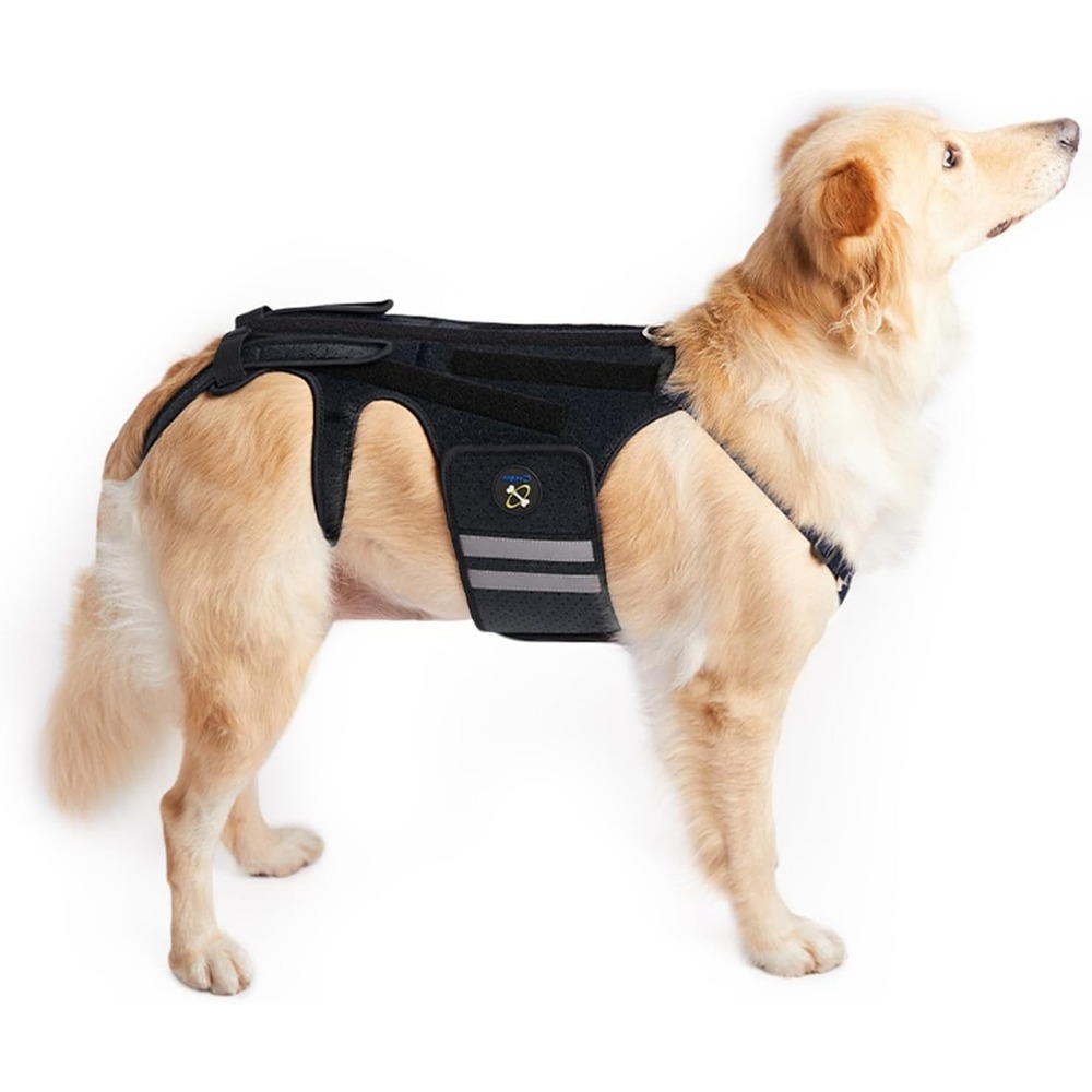 Coodeo Small Dog Back Brace Spine Support‎ IVDD Arthritis Recovery Vest Size S